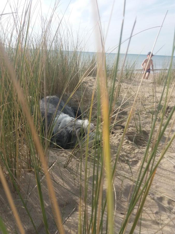Hébergement de vacances Le Grand Orient *